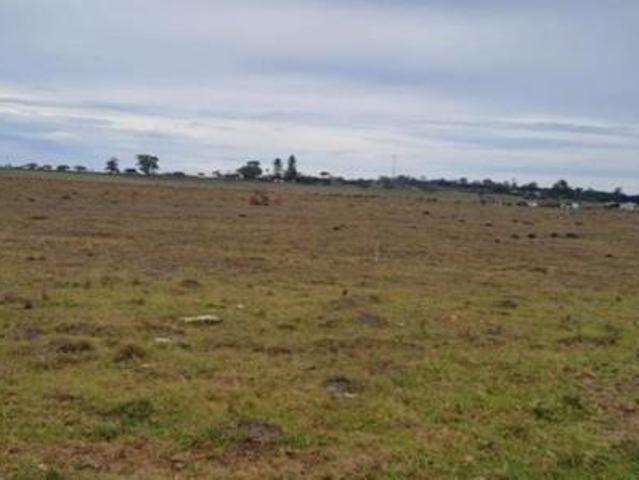 Land for sale in Eastern Cape