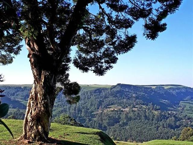 Land for sale in Kwazulu-natal