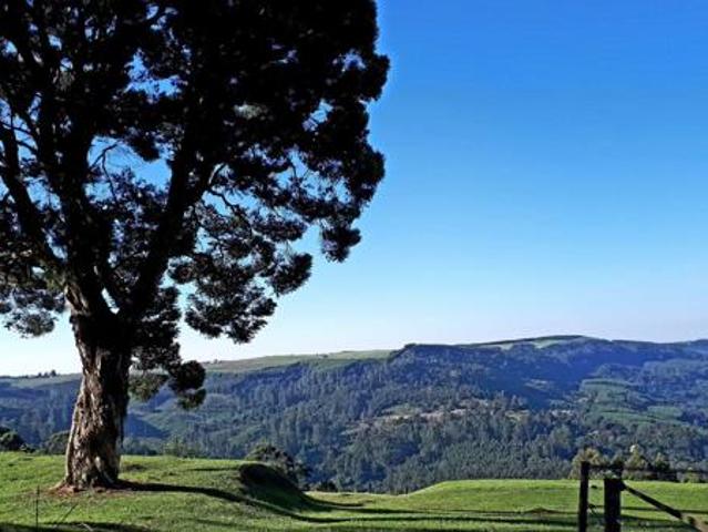 Land for sale in KwaZulu-Natal