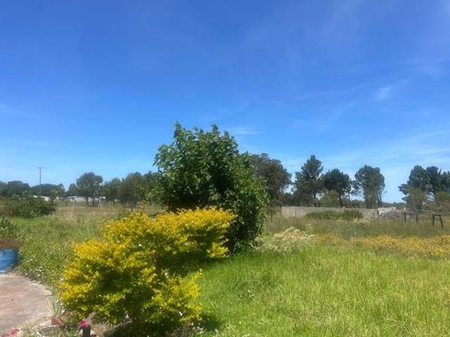 Land for sale in Eastern Cape