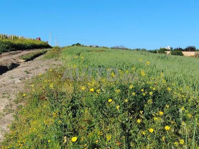 Propriété vente à Slimane, Gharb-Chrarda-Beni Hssen