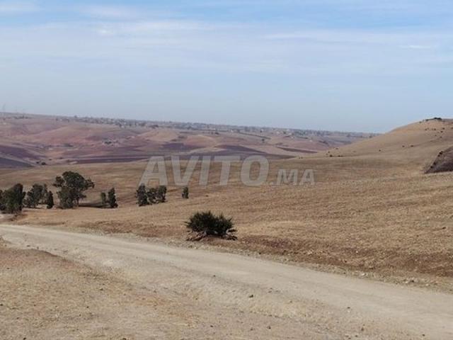 Propriété vente à Slimane, Gharb-Chrarda-Beni Hssen