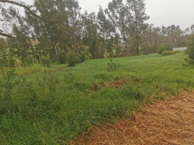Property for sale in Western Cape