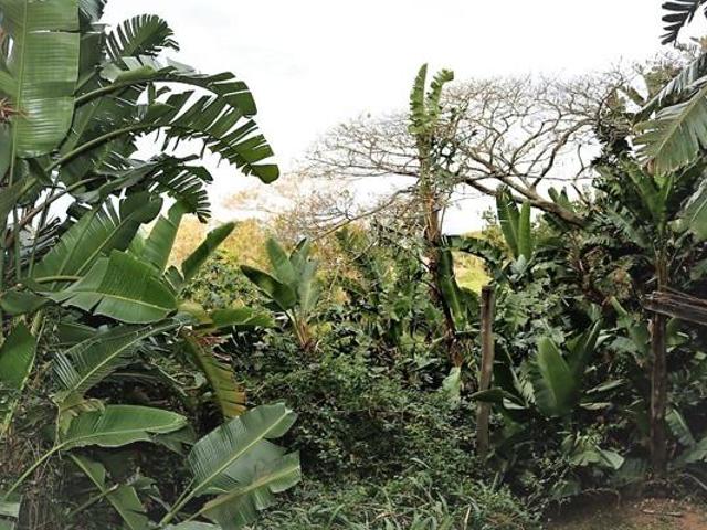 Property for sale in Ugu District Municipality, Kwazulu-natal