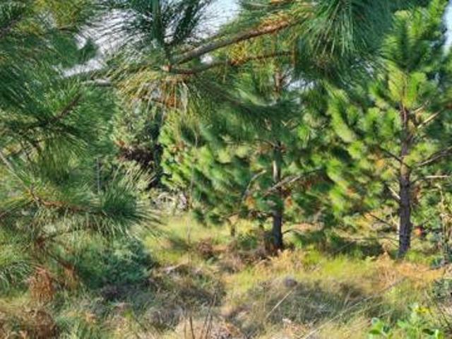 Property for sale in Port Edward, Hibiscus Coast Local Municipality