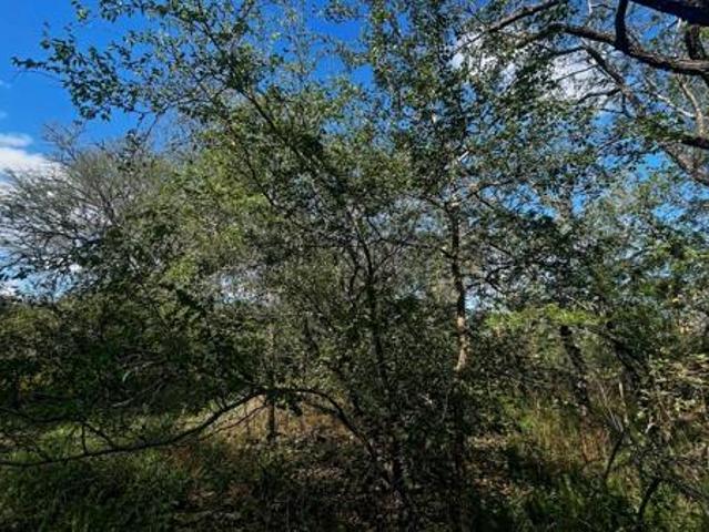 Property for sale in Ehlanzeni, Mpumalanga