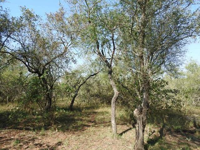 Property for sale in Ehlanzeni, Mpumalanga