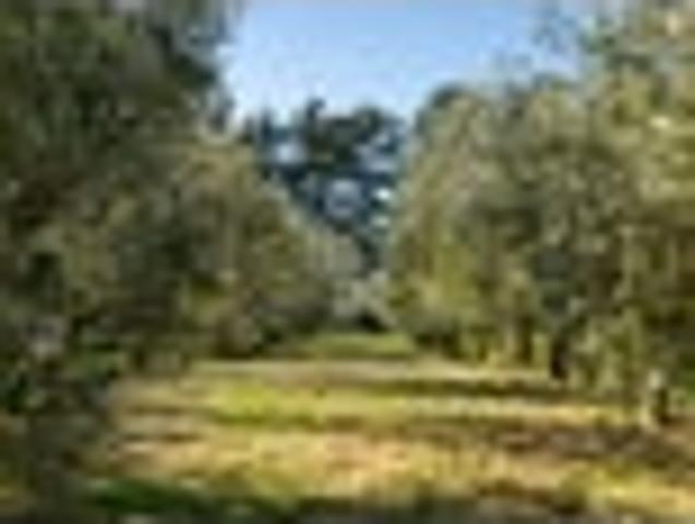 Land for sale in Opaki, Wellington