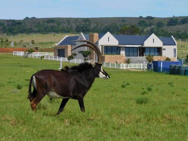 Property for sale in Cape St Francis, Eastern Cape