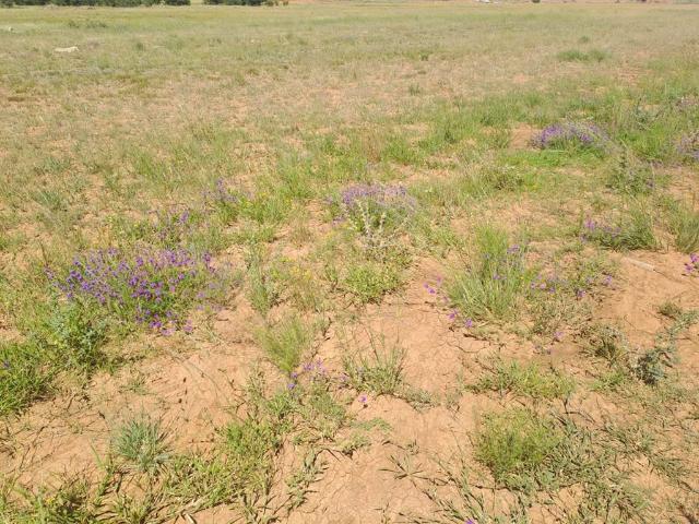 Property for sale in Mantsopa, Free State