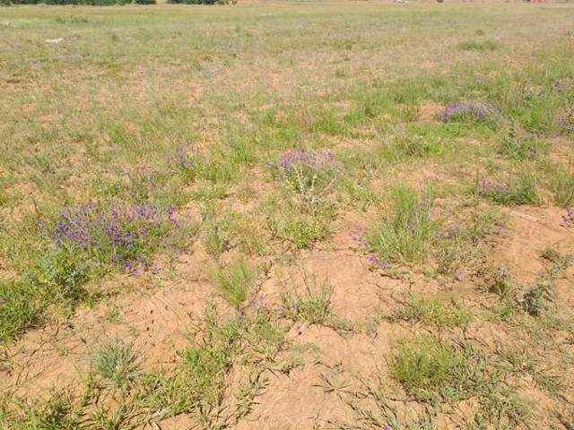 Property for sale in Mantsopa, Free State
