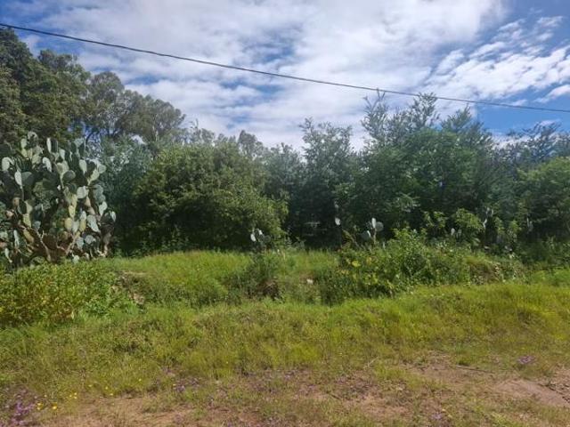 Property for sale in Rosendal, Free State