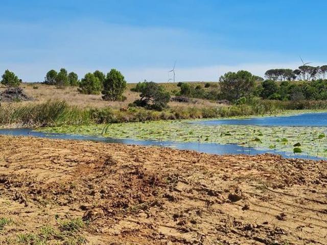 Property for sale in Cape St Francis, Eastern Cape