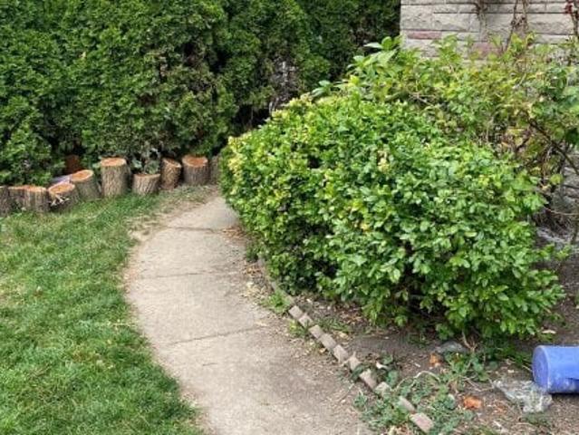 House for rent in Woburn, Ontario