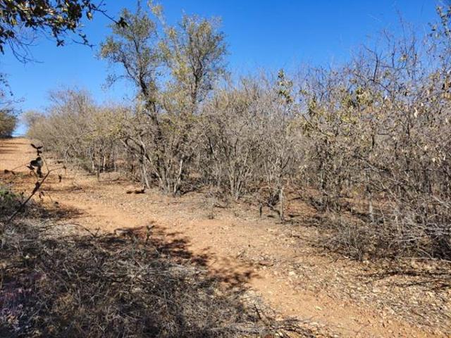 Property for sale in Limpopo