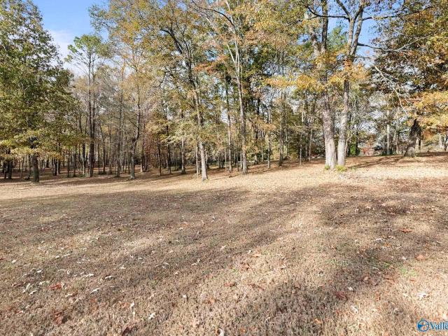 Land for sale in Scottsboro, Alabama