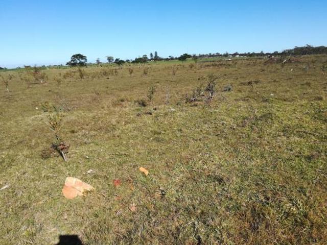 Land for sale in Eastern Cape