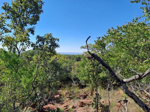 Land for sale in Limpopo
