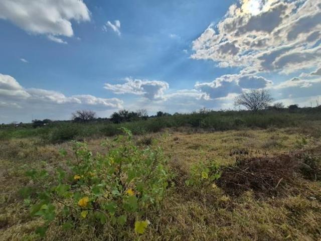 Land for sale in Mopani, Limpopo
