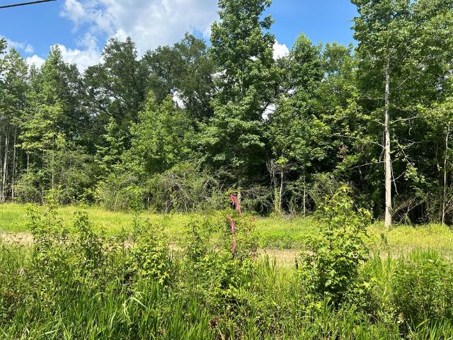 Property for sale in Cottonwood, Alabama