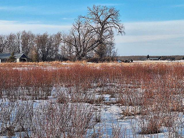 Land for sale in La Broquerie, Manitoba