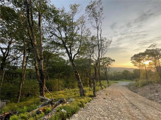 Land for sale in Avery, North Carolina
