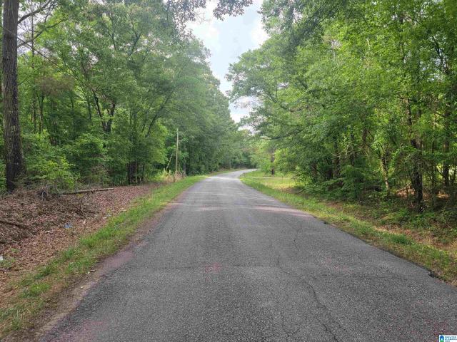 Land for sale in Roanoke, Alabama