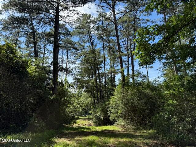 Land for sale in Collins, Mississippi