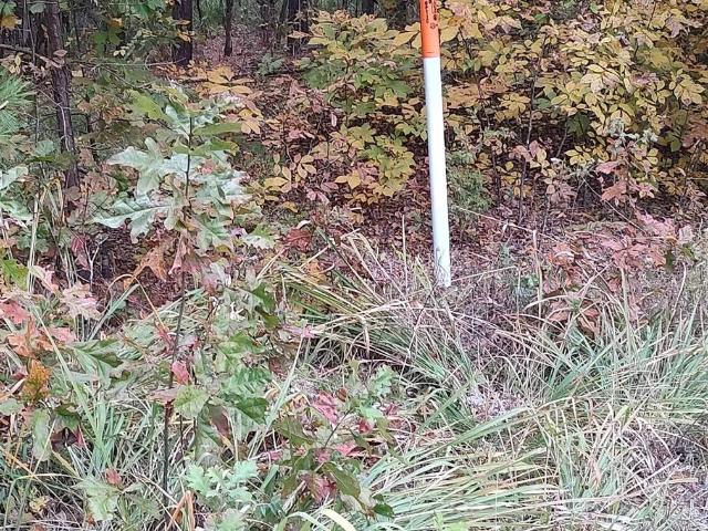 Land for sale in Ark