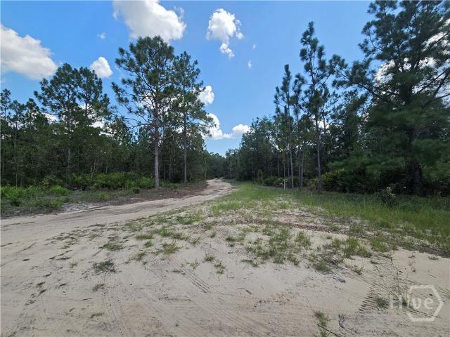 Land for sale in Glennville, Georgia