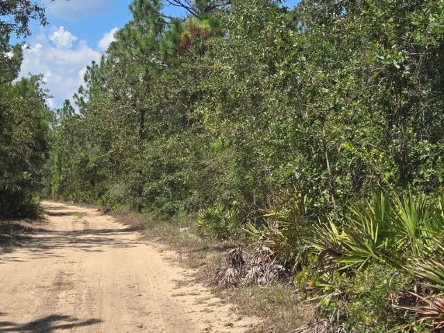 Land for sale in Glennville, Georgia