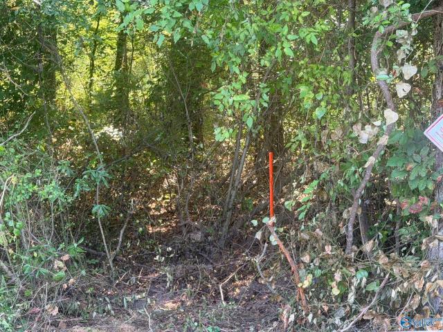 Land for sale in Athens, Limestone County