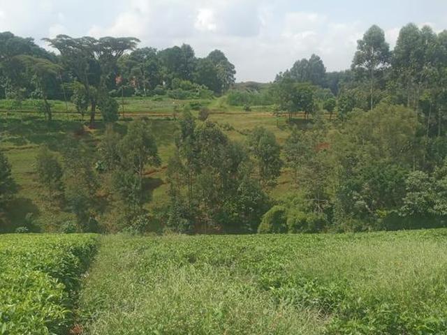 Land for sale in Limuru, Tigoni