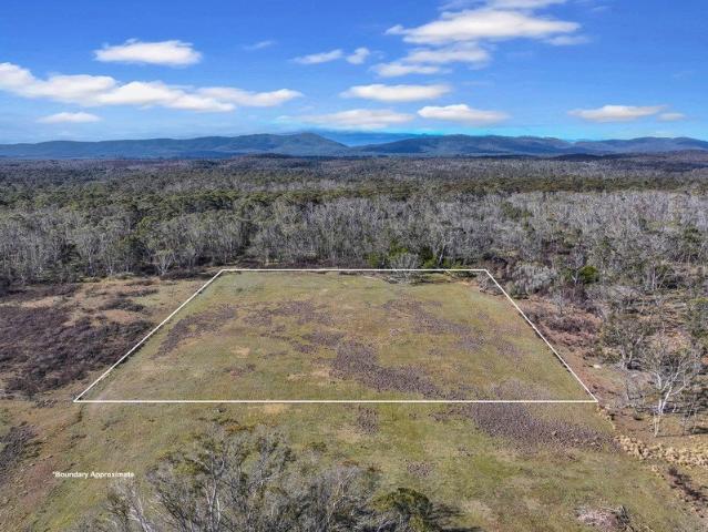 Cottage for sale in Braidwood, New South Wales