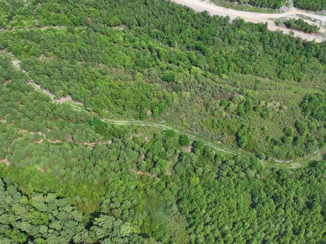 Land for sale in Wallace, North Carolina