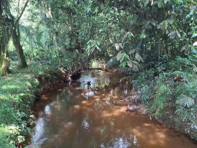 Sítio e chácara venda em Sete Barras, São Paulo