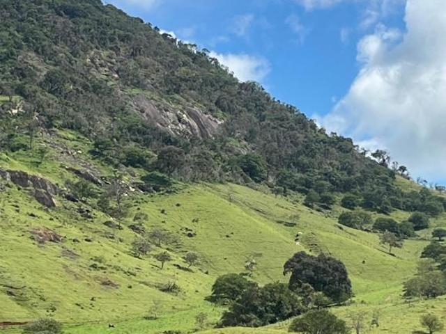 Sítio e chácara venda em Região Geográfica Imediata de Itajubá, Paraisópolis