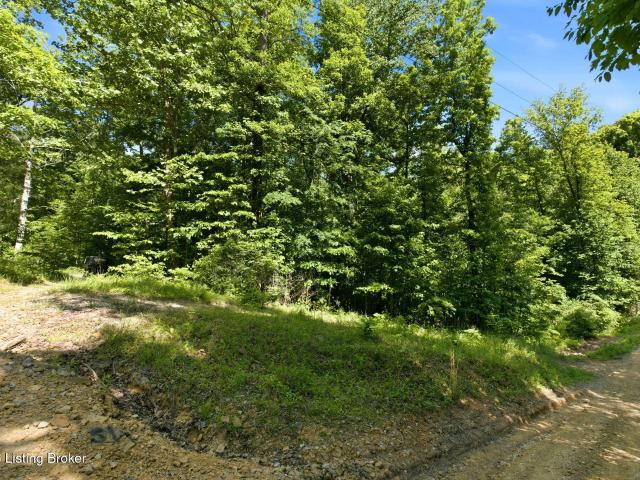 Land for sale in Big Clifty, Kentucky