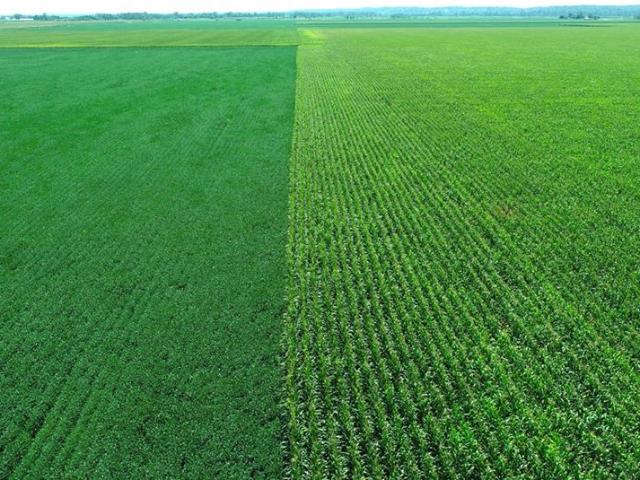 Farm for sale in Holt, Missouri