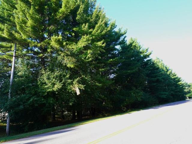 Land for sale in Merrill, Wisconsin