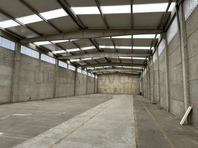 Armazém alugar em Montijo