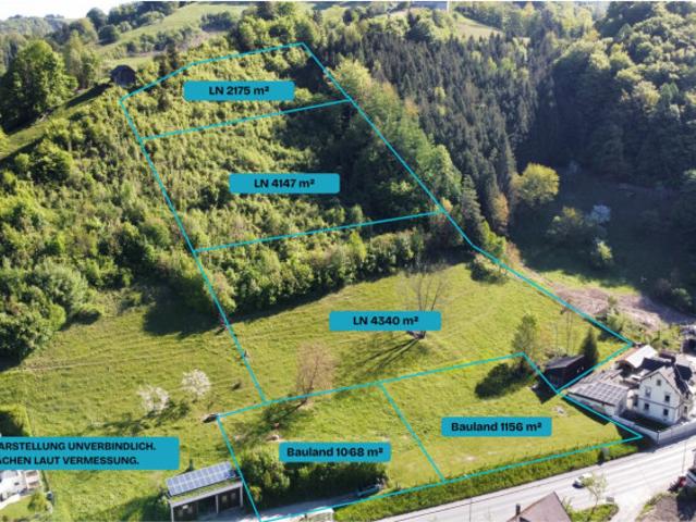 Grundstück kaufen in Losenstein, Oberösterreich