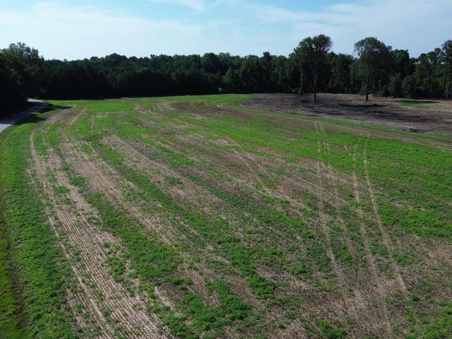 Land for sale in Vance, South Carolina