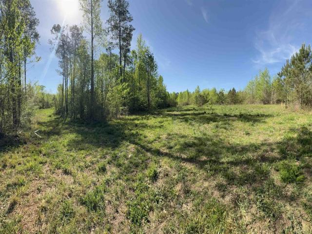Land for sale in Wedowee, Alabama