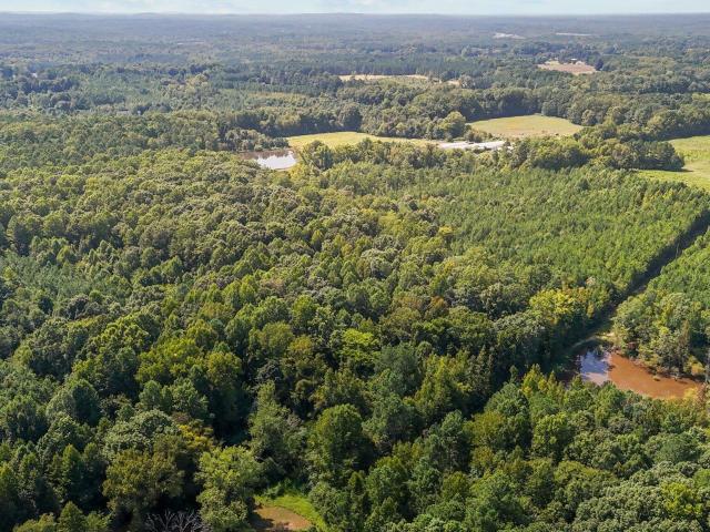 Land for sale in Granville, North Carolina
