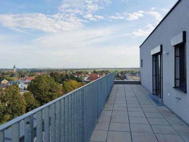 Apartment mieten in KG Oberlaa Stadt, Wien