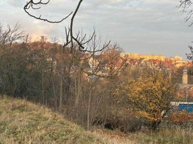 Erdgeschosswohnung kaufen in Plauen, Sachsen