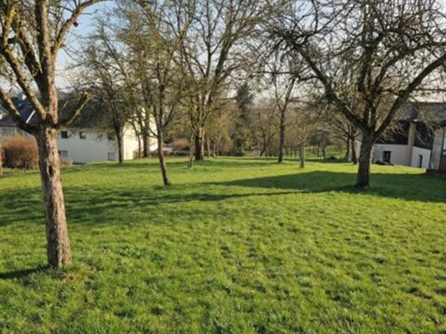 Grundstück kaufen in St. Marienkirchen an der Polsenz, Oberösterreich