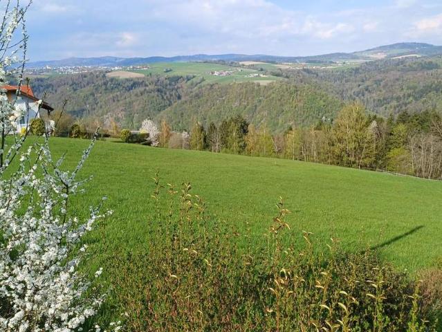 Grundstück kaufen in Schärding, Oberösterreich