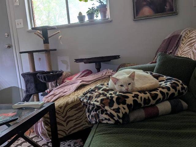 Room for rent in Tulsa, Oklahoma